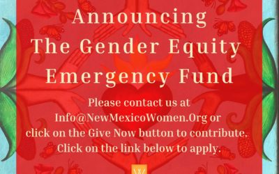 Announcing the 2020 Gender Equity Emergency Fund!