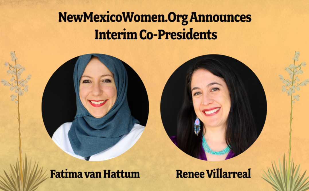 Interim Leadership Announcement from NewMexicoWomen.Org